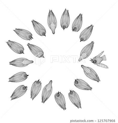 Pigeon bird wireframe sitting. Flat cartoon character design. Outline bird icon. Cute pigeon template. Vector illustration isolated on white background. 3D. 125707908