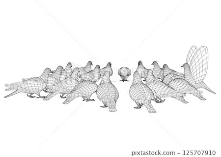 Pigeon bird wireframe sitting. Flat cartoon character design. Outline bird icon. Cute pigeon template. Vector illustration isolated on white background. 3D. Pigeon bird wireframe sitting. Flat cartoon character design. Outline bird icon. Cute pigeon template. Vector illustration isolated on white background. 3D. 125707910