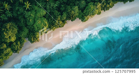 Tropical Beach Meets Lush Forest with Tranquil Waves Gently Kissing the Shore, Paradise Found. 125707995