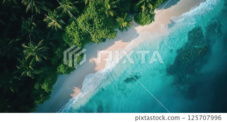 Tropical Beach Meets Lush Forest with Turquoise Water and Tranquil Island Vibes. 125707996