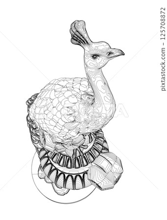 Decorative peacock. Adult anti-stress coloring page. Black and white hand drawn doodle for coloring book. Vector Black and White Floral Peacock Illustration 125708872