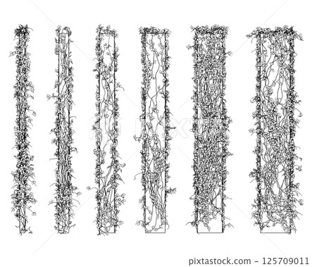 Contour of columns entwined with plants with leaves made of black lines isolated on a white background. 3D. Vector illustration. A set of columns of different sizes. Front view. Contour of columns entwined with plants with leaves made of black lines isolated on a white background. 3D. Vector illustration. A set of columns of different sizes. Front view. 125709011