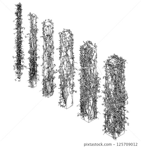 Contour of columns entwined with plants with leaves made of black lines isolated on a white background. 3D. Vector illustration. A set of columns of different sizes. Isometric view. Contour of columns entwined with plants with leaves made of black lines isolated on a white background. 3D. Vector illustration. A set of columns of different sizes. Isometric view. 125709012