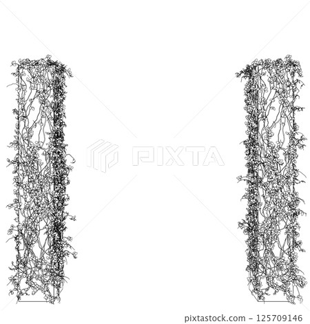 Contour of columns entwined with plants with leaves made of black lines isolated on a white background. 3D. Vector illustration. 125709146