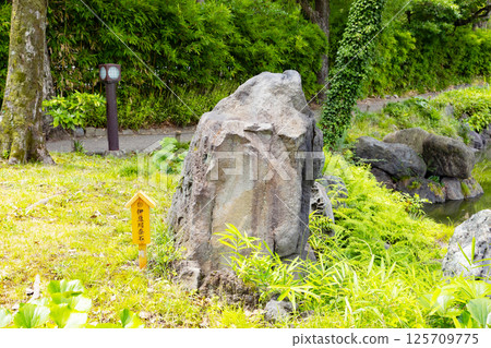 中川伊豆川清澄花園 125709775