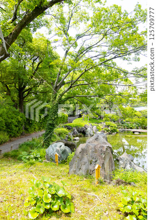 Kiyosumi Garden Izu Kawana Stone Kishu Blue Stone 125709777