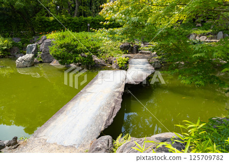 清澄庭園:大池塘上的石橋 清澄庭園:大池塘上的石橋 125709782