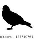 Silhouette of a sitting dove isolated on a white background. Vector illustration. 125710764