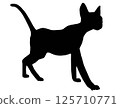 Vector illustration isolated silhouette cat walking 125710771