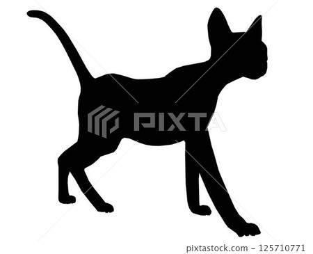 Vector illustration isolated silhouette cat walking Vector illustration isolated silhouette cat walking 125710771