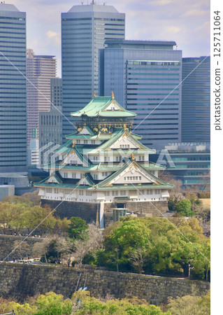 從大阪城和大阪歷史博物館看到的景色（大阪府大阪市） 125711064