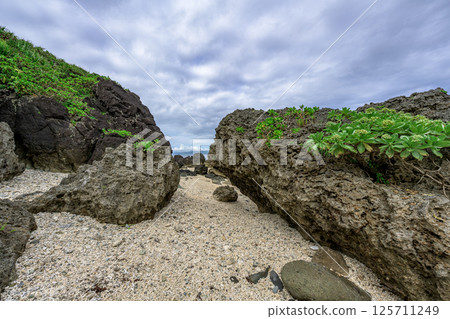 退潮時的風景:陰天下的石垣島靜謐的海灘 退潮時的風景:陰天下的石垣島靜謐的海灘 125711249