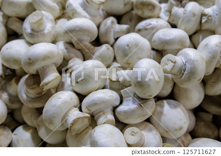 Lots of mushrooms, small white mushrooms 125711627