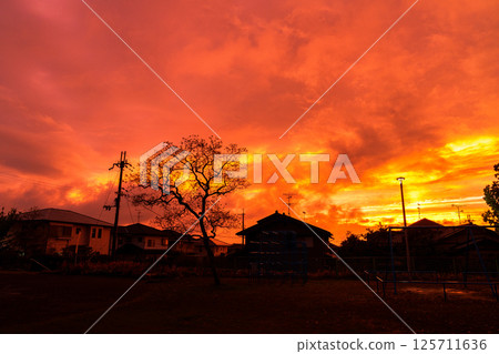 奈良市區雨後的夜空中，美麗的夕陽③ 125711636