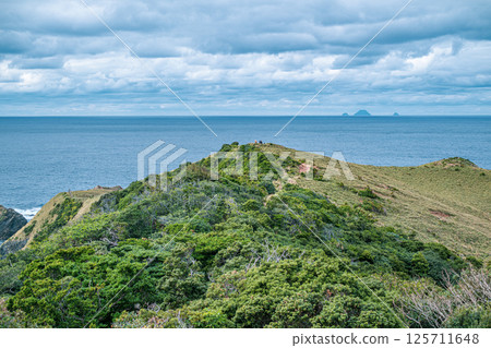 [#奄美大島] 宮古崎 125711648