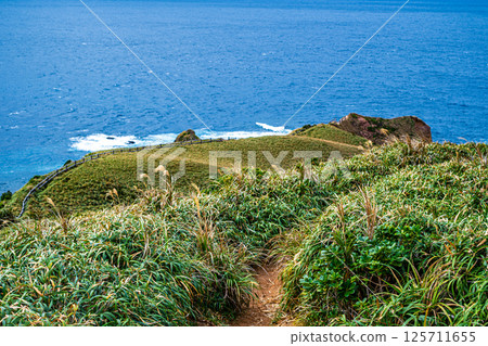 [#Amami Oshima] Miyakozaki 125711655