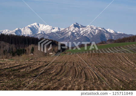 Spring Hill Spring Hill 125711849