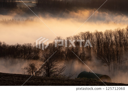 晨霧山 晨霧山 125712068