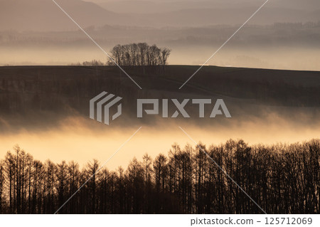 Morning fog hill 125712069