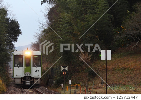 Hachiko Line Kiha 110 Hachiko Line Kiha 110 125712447