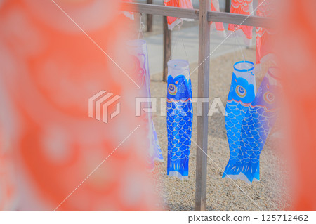 紅色鯉魚旗中間的藍色鯉魚旗 125712462