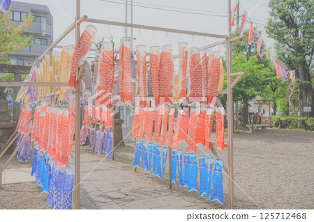 許多鯉魚旗 許多鯉魚旗 125712468
