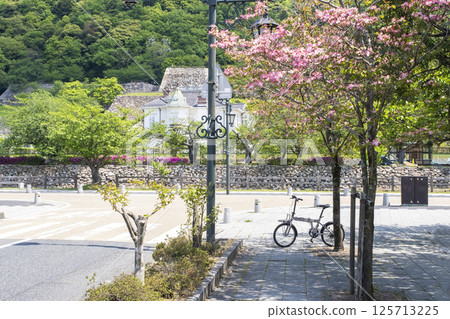 騎著腳踏車遊覽鳥取城遺址的情景 125713225