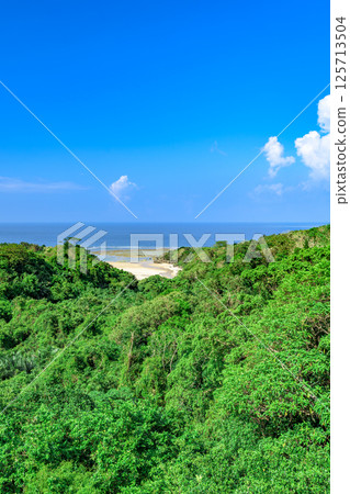 A view of the ocean from Ishigaki Island, a spectacular natural landscape 125713504