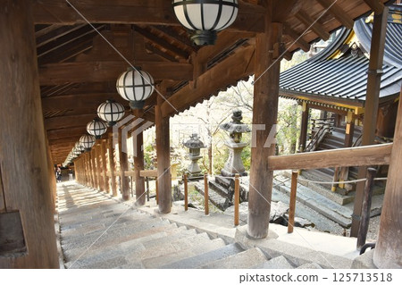 奈良長谷寺的櫻花 - 屋頂走廊 125713518