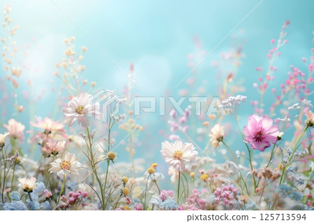 Pastel Wildflowers Blooming in Spring Meadow Pastel Wildflowers Blooming in Spring Meadow 125713594