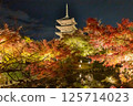 Touji autumn leaves light up 125714023