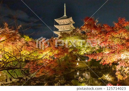 Touji autumn leaves light up 125714023