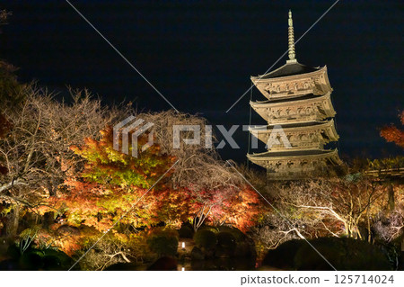 Touji秋葉亮起來 125714024