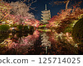 Touji autumn leaves light up 125714025
