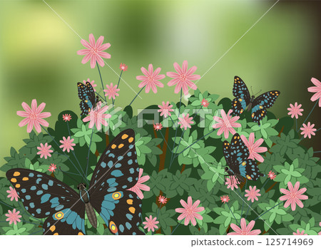 Butterflies Among Pink Flowers in Lush Garden 125714969