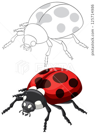 Detailed Ladybug Vector Illustration with Outline 125714986