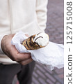Hands Holding Cannoli Dessert, Traditional Sicilian Pastry, Tube-shaped Shell Of Fried Pastry Dough, Filled With A Sweet, Creamy Filling Containing Ricotta Cheese. Man Holds Street Food. Vertical. 125715008