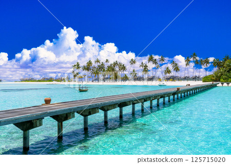 仲夏熱帶景象：印度洋美麗的珊瑚礁 125715020