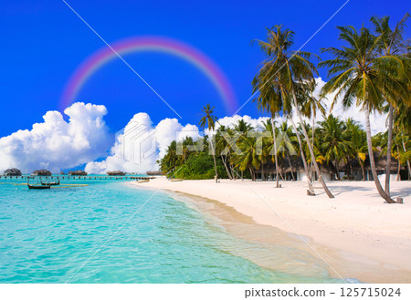 仲夏熱帶景象：印度洋美麗的珊瑚礁 125715024