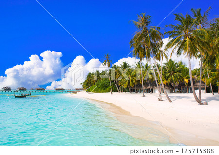 仲夏熱帶景象：印度洋美麗的珊瑚礁 125715388