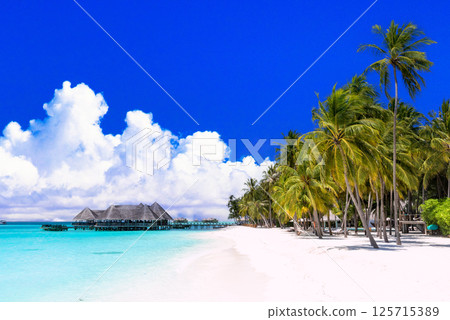 仲夏熱帶景象：印度洋美麗的珊瑚礁 125715389