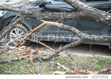 strong wind broke tree that fell on car in the parking lot 125715532
