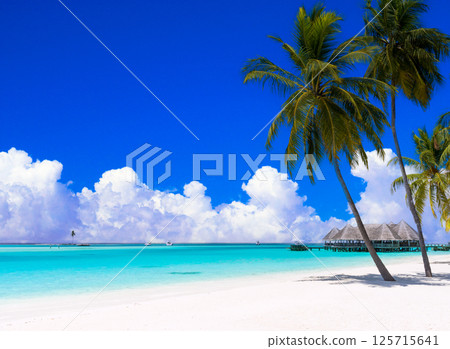 Midsummer tropical image: Beautiful coral reefs in the Indian Ocean Midsummer tropical image: Beautiful coral reefs in the Indian Ocean 125715641