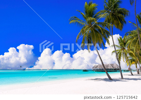 Midsummer tropical image: Beautiful coral reefs in the Indian Ocean Midsummer tropical image: Beautiful coral reefs in the Indian Ocean 125715642