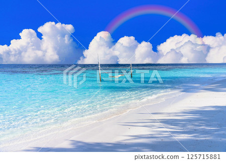 Midsummer tropical image: Beautiful coral reefs in the Indian Ocean 125715881