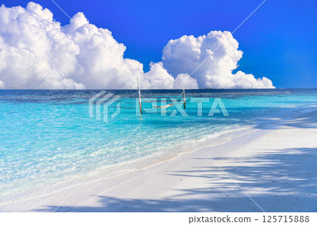 仲夏熱帶景象：印度洋美麗的珊瑚礁 125715888