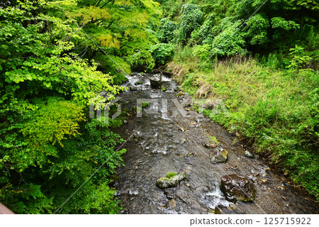 Kibune River flowing through a forest of fresh greenery. Scenery of the Kibune River in Kyoto. Kyoto tourist spots. Kibune River flowing through a forest of fresh greenery. Scenery of the Kibune River in Kyoto. Kyoto tourist spots. 125715922