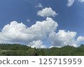 夏日天空與綠色森林風景 125715959