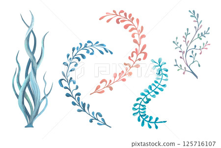 Set of marine algae, seaweed, ocean plants Watercolor illustration isolated from background. Hand drawn wriggling plants collection in blue, pink, turquoise colors. For compositions children's design 125716107