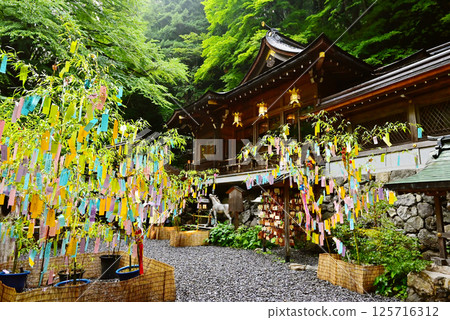京都貴船神社的新綠、七夕竹子裝飾亮起、京都旅遊景點 京都貴船神社的新綠、七夕竹子裝飾亮起、京都旅遊景點 125716312